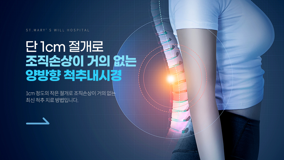 양방향 척추내시경 이미지